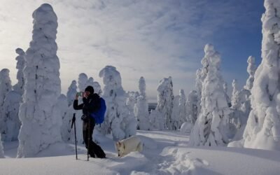 Snowshoeing In Iivaara Nature Reserve – Private Guided Tour