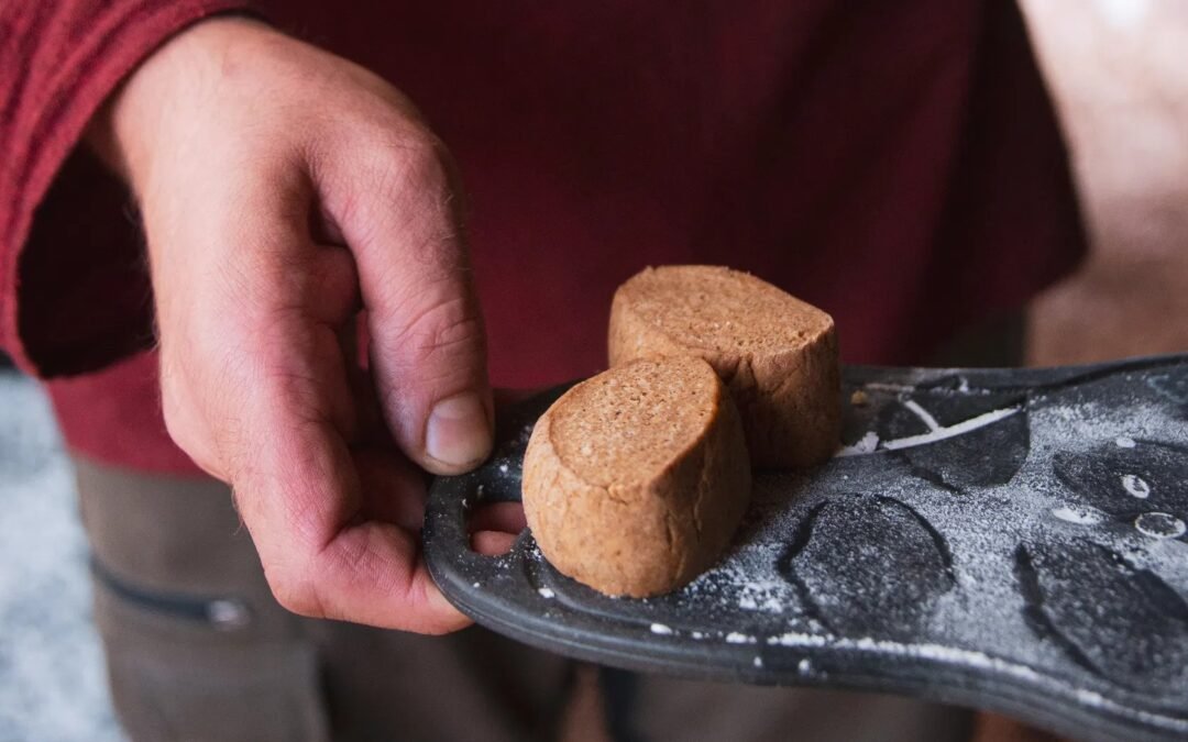 Wilderness Lunch Experience In Winter