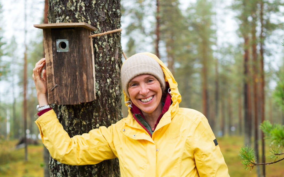Birdhouse Workshop, Forest Walk & Wilderness Lunch in Kuusamo