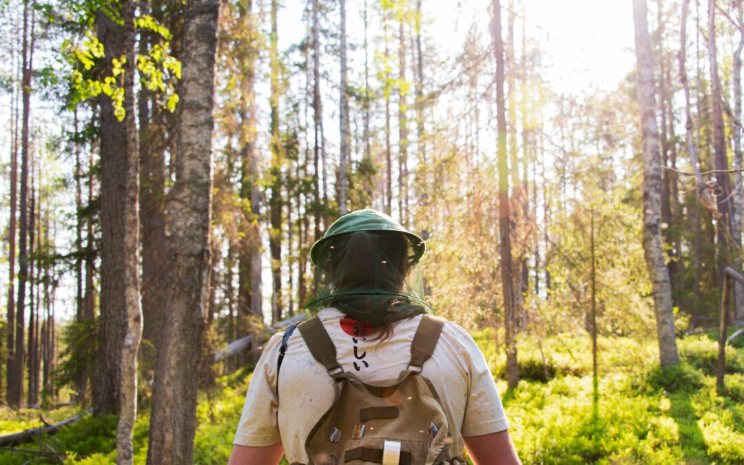Forest Walk and Wilderness Lunch in Ruka-Kuusamo