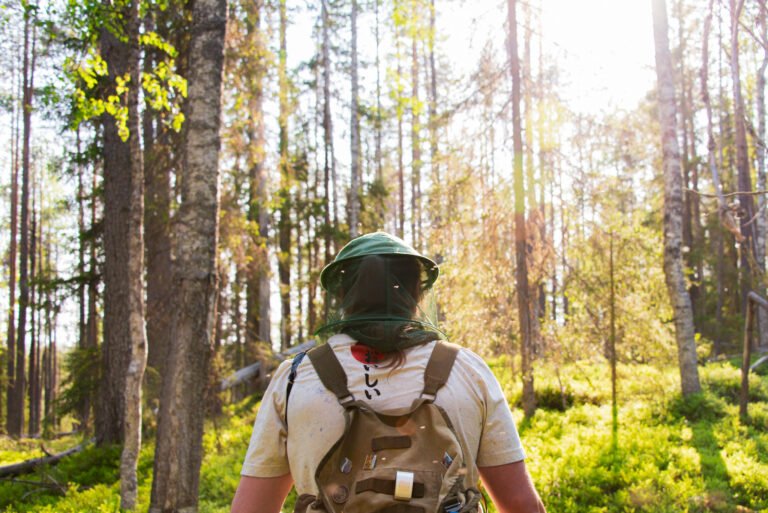 Forest Walk and Wilderness Lunch in Ruka-Kuusamo — Image 8