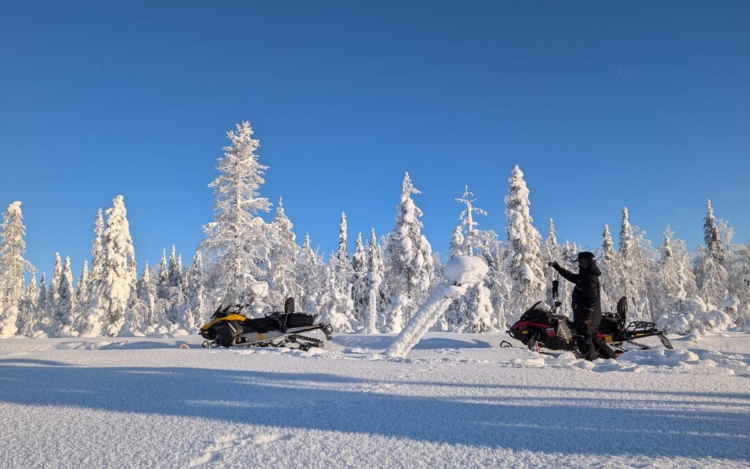 Excursion en motoneige à la journée depuis Ylläs