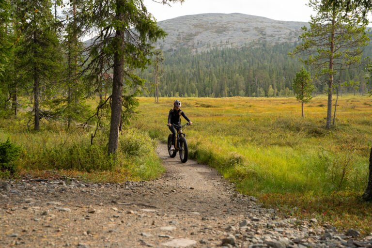 lapland ylläs national park summer trail