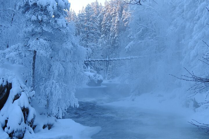Oulanka National Park Private Winter Walk — Image 1