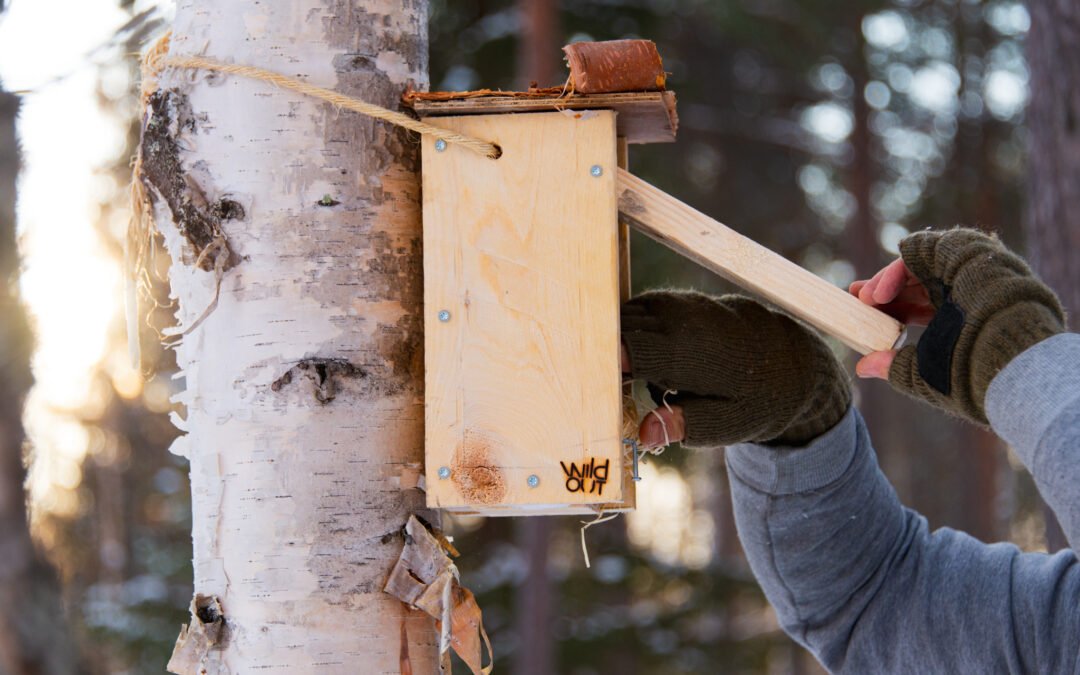 Ski Trip in Kuusamo to Help Birds & Wilderness Lunch