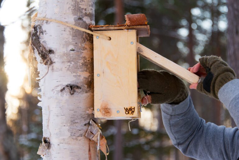 Ski Trip in Kuusamo to Help Birds & Wilderness Lunch — Image 1