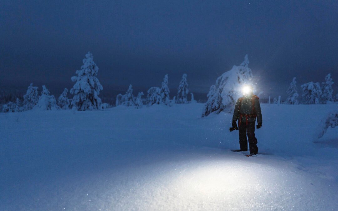 Skiing in Riisitunturi National Park at Night & Wilderness Dinner