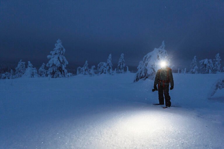 Skiing in Riisitunturi National Park at Night & Wilderness Dinner — Image 2