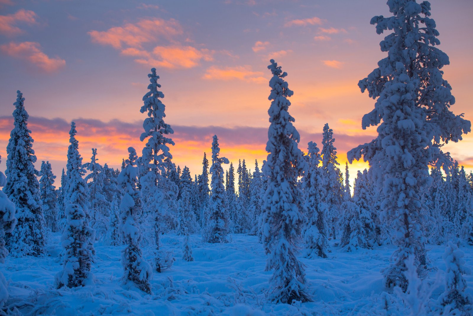 snow lapland landscape winter sweden snomwobile 