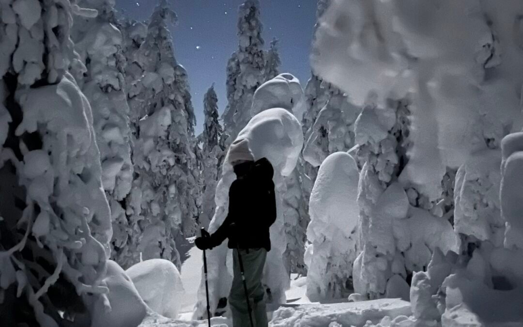 Night sky tour with snowshoes
