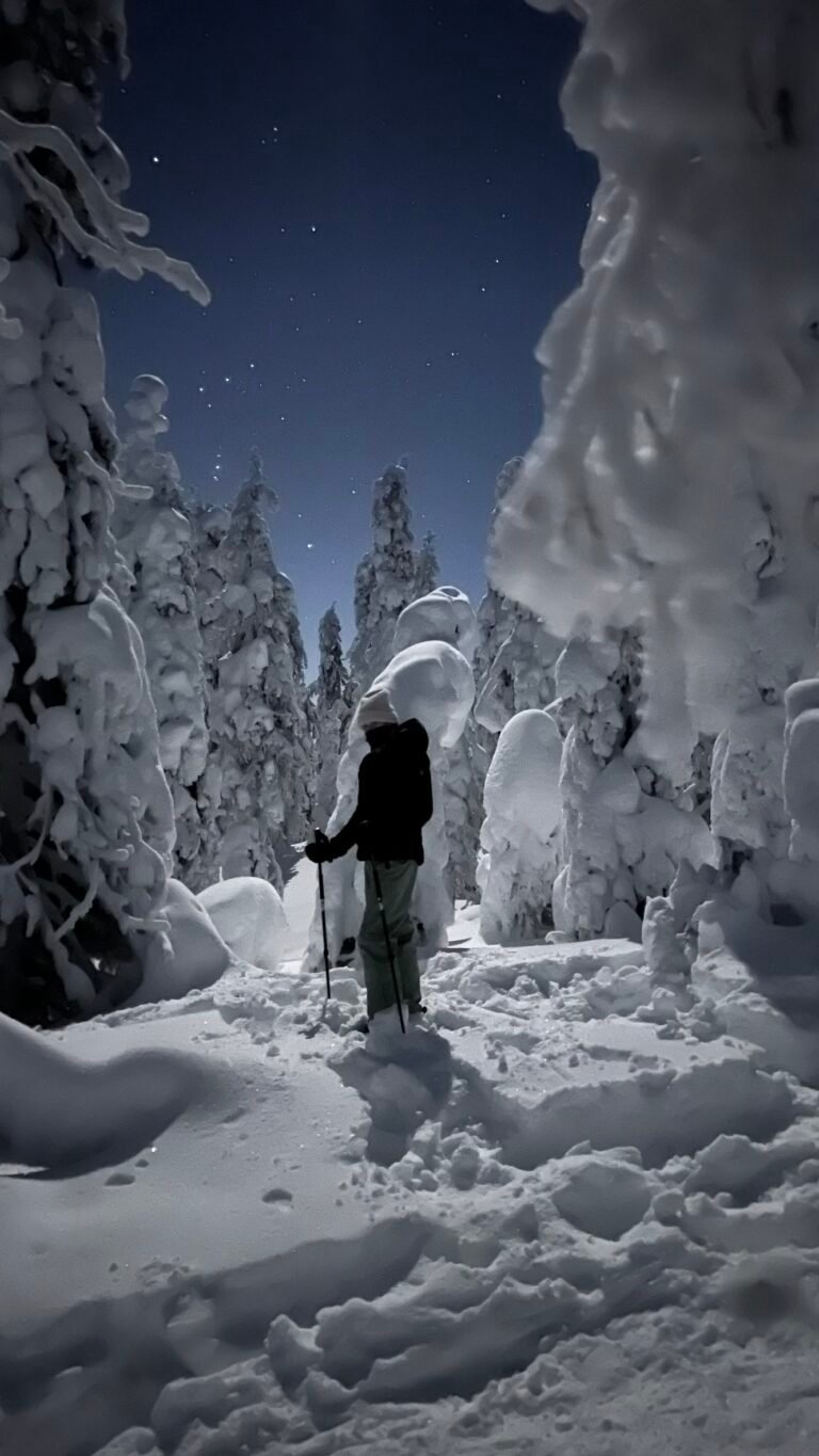 Night sky tour with snowshoes — Image 9