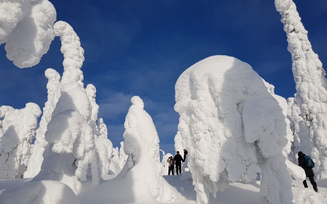 Snowshoe adventure in Iivaara nature reserve
