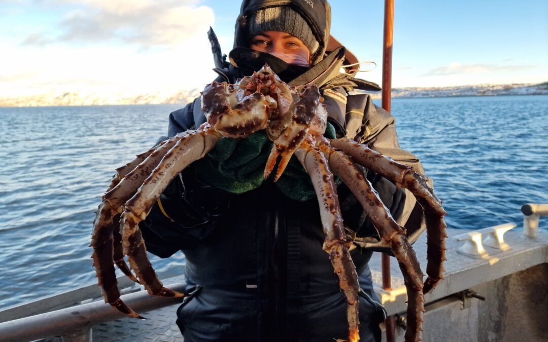 Private King Crab Tour (minus lunch)