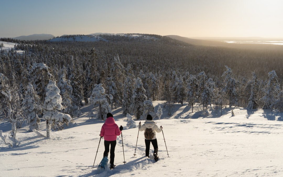 Excursion au Parc National de Pyhä-Luosto depuis Rovaniemi (Privée)