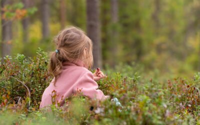 Rovaniemi en été avec des enfants: activités et conseils
