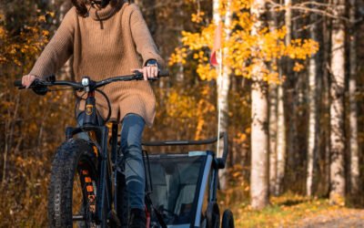 Balade à Vélo Électrique en Famille depuis Rovaniemi (Privé)