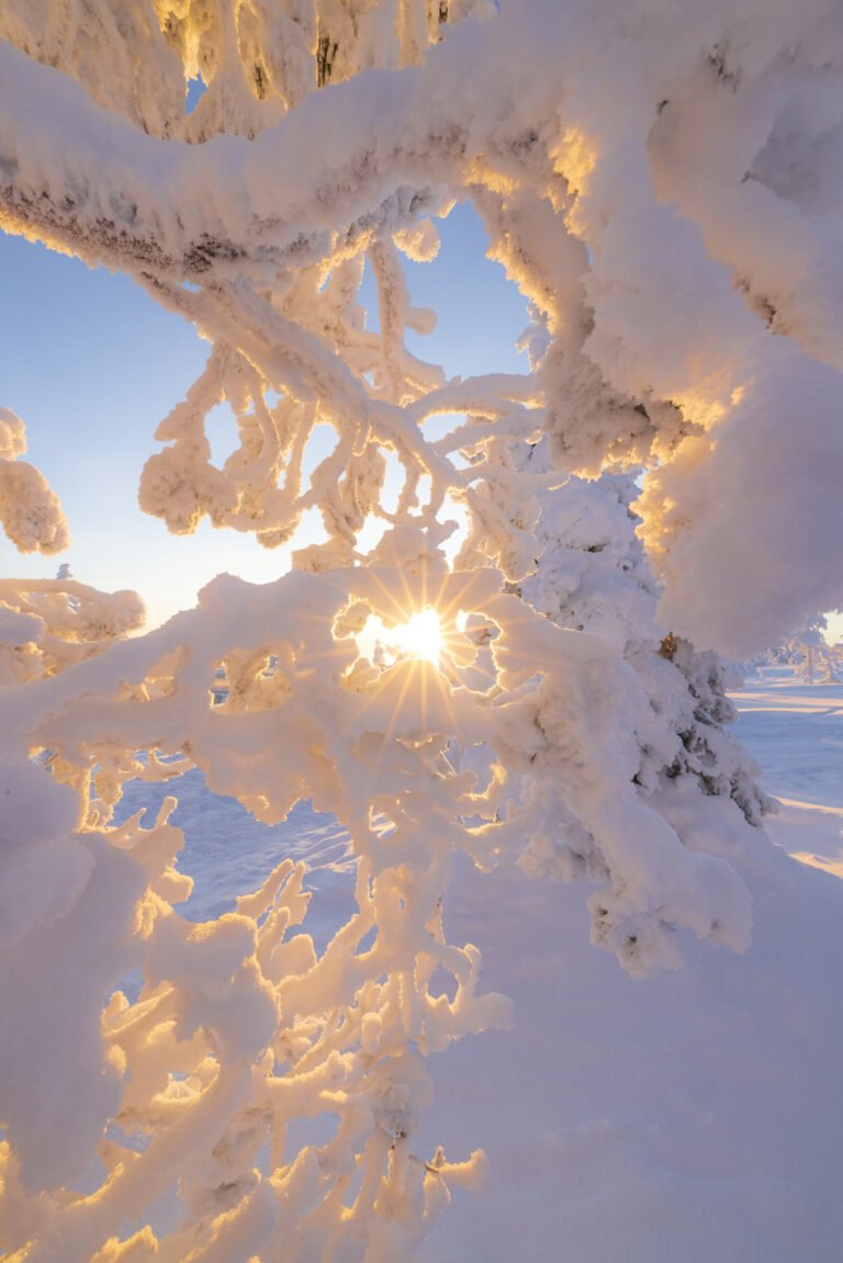 Rovaniemi