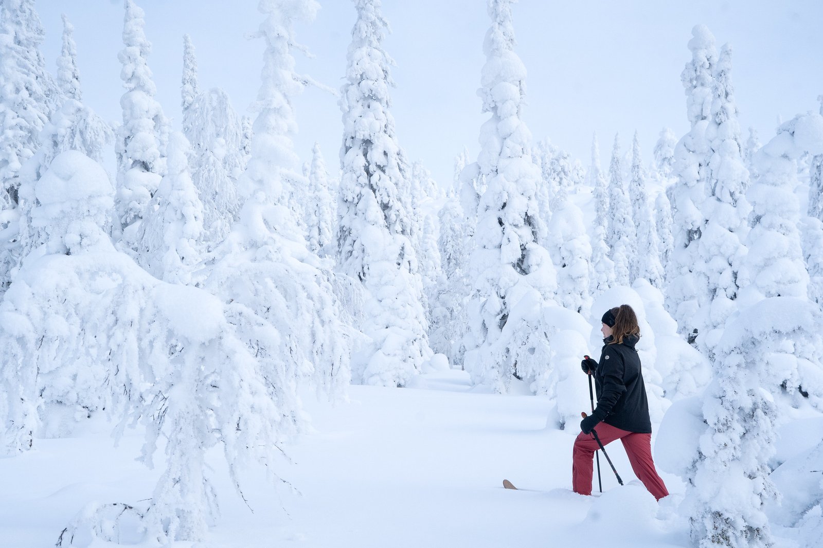 Salla hiver randonnée ski