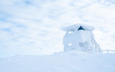 Excursion au Parc National de Salla depuis Rovaniemi (Privée)