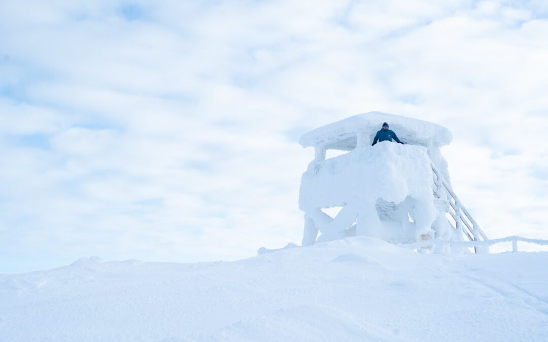 Salla National Park from Rovaniemi (Private Tour)