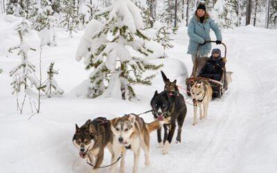 Aventure Privée de 10km en Chiens de Traîneaux depuis Rovaniemi