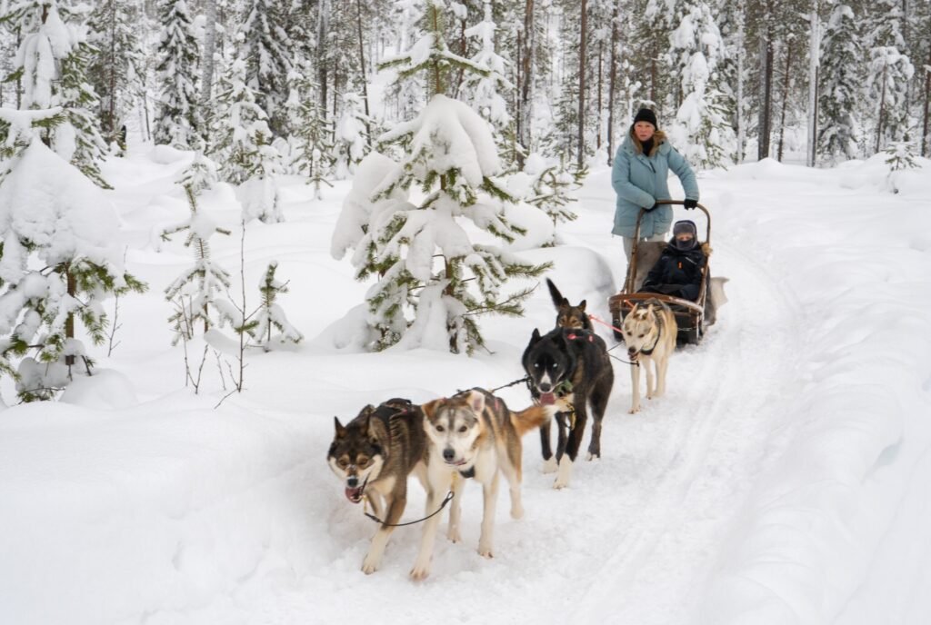 2c435e32-c4a0-454e-b285-f6d922558c5e Tour husky premium