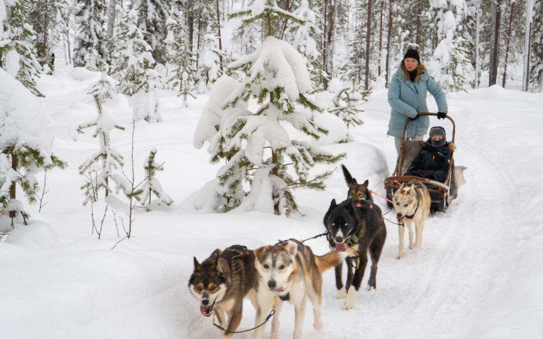 Private Husky Adventure with Self-Driven 6-10km Safari