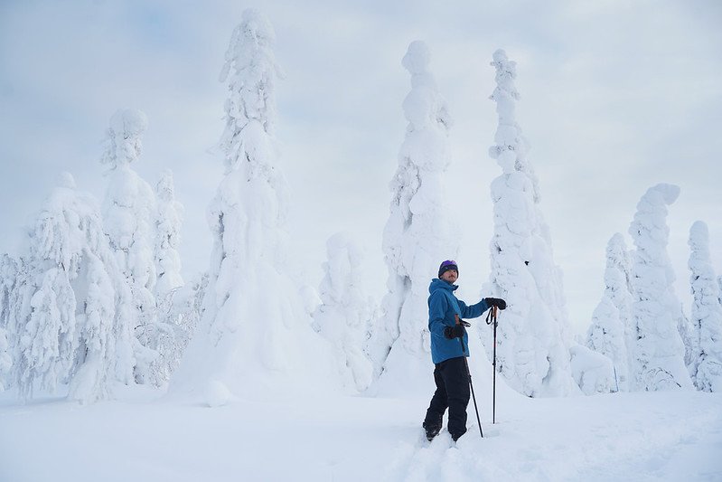 Excursion au Parc National de Salla depuis Rovaniemi (Privée)