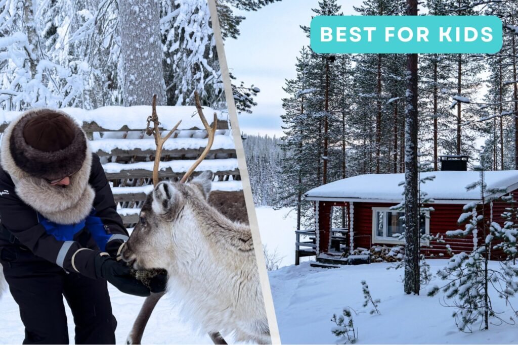 Reindeer feeding & sauna