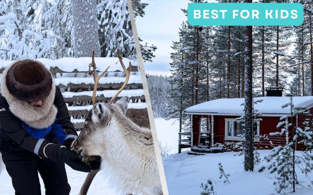 Reindeer Feeding & Wilderness Sauna with Ice-Swimming (Private)