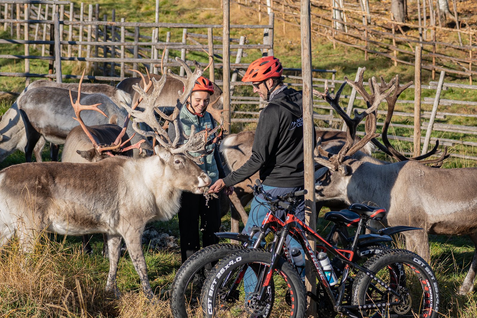 Balade vélo ferme renne famille