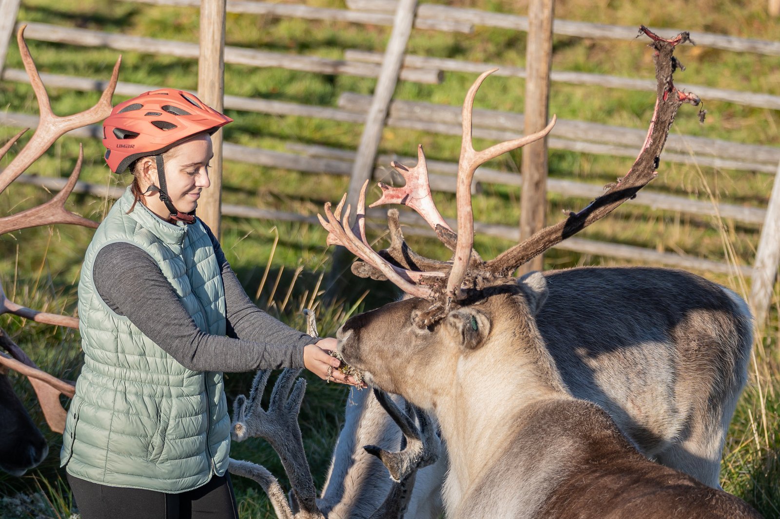 Balade vélo famille ferme de renne