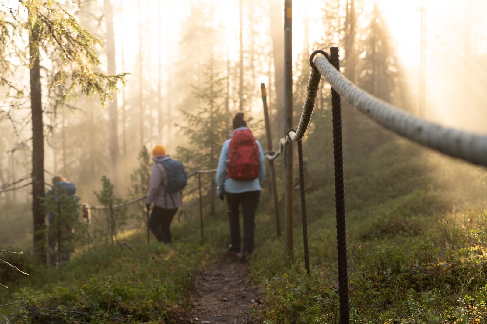 premium hike in summer