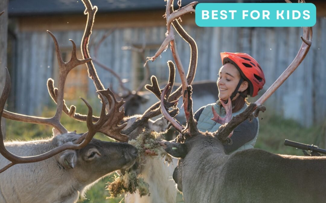 E-Bike Trip to the Reindeer Farm for Families (Private)