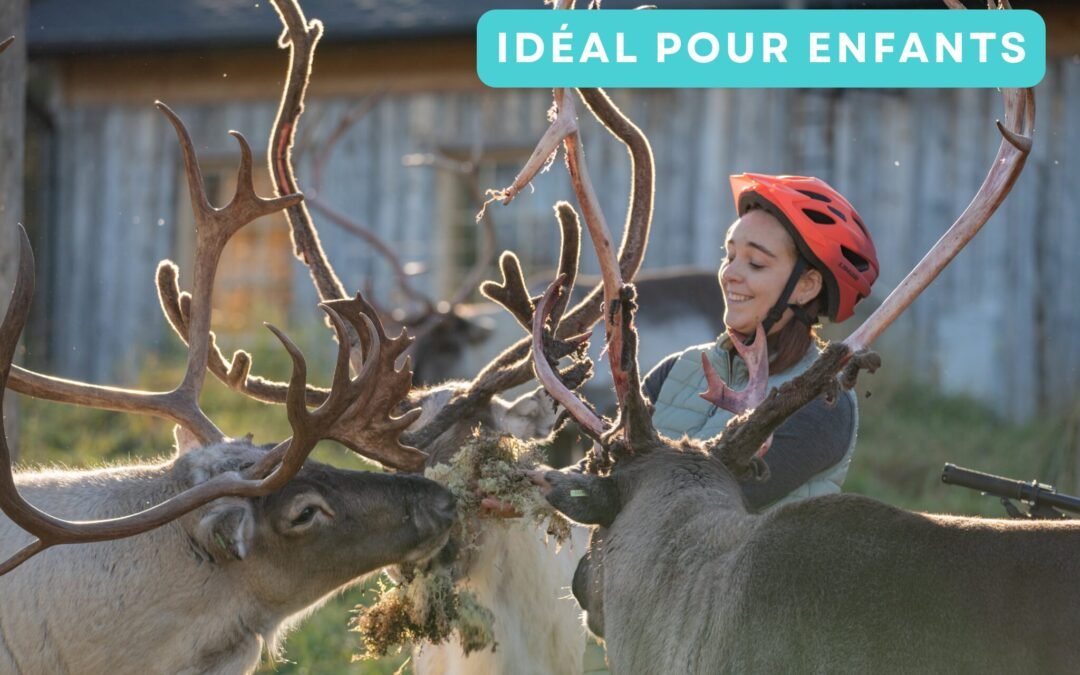 Balade en vélo électrique vers une ferme de rennes pour les familles (privée)