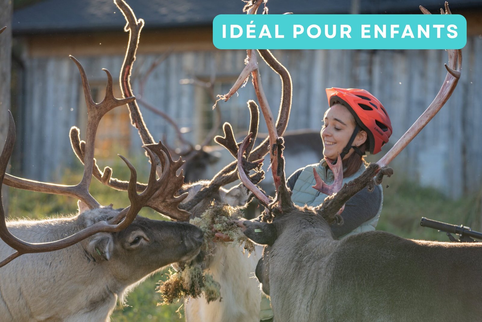 Balade vélo famille ferme de renne