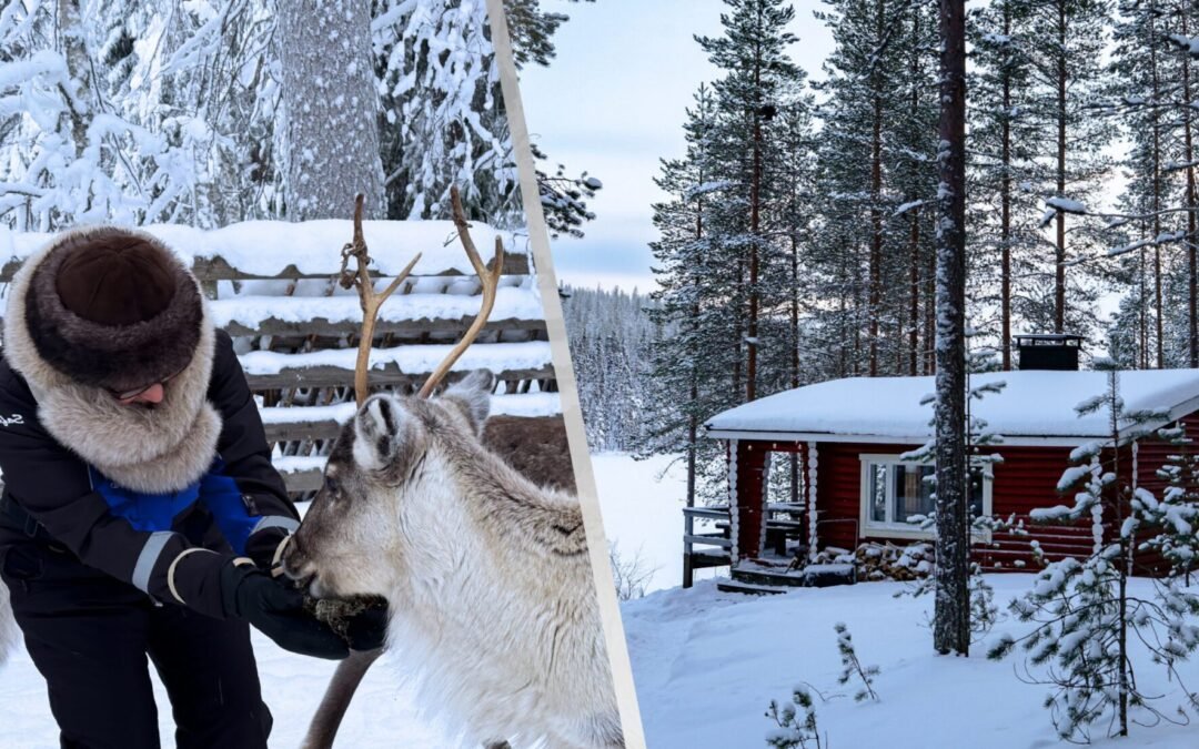 Reindeer Feeding & Wilderness Sauna with Ice-Swimming (Private)