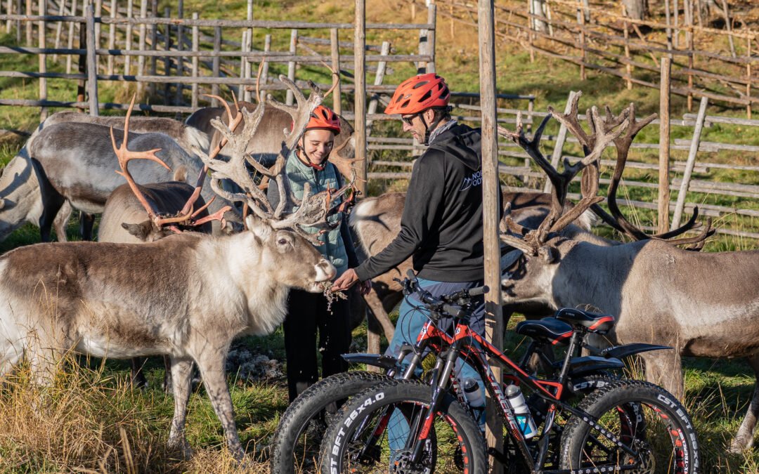 Private Family E-Bike Tour to a Reindeer Farm