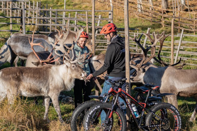 Balade en vélo électrique vers une ferme de rennes pour les familles (privée)