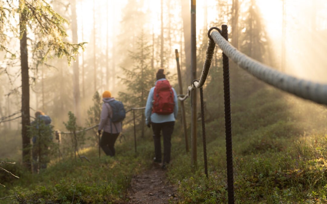 Premium Arctic Wilderness Hike & Fire-Making in Summer & Autumn