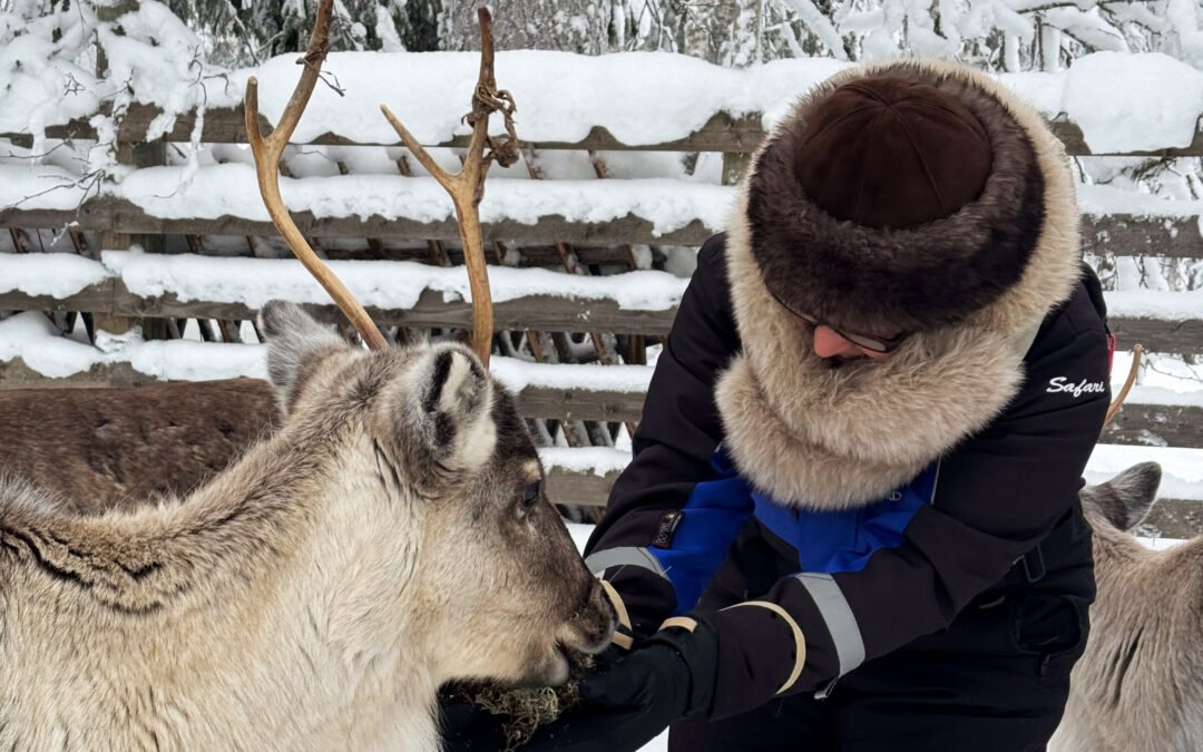 Private Reindeer Feeding & Wilderness Sauna with Ice-Swimming