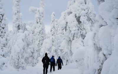 Randonner en Laponie en hiver : Comment bien préparer votre expérience