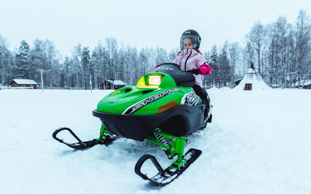 Family Snowmobile Safari from Levi