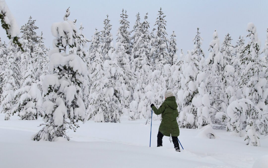 Aventure en Raquettes en Pleine Nature
