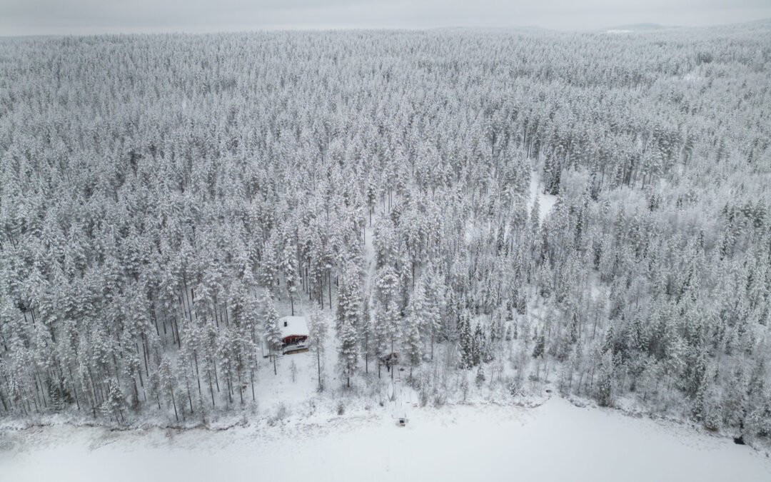 Private Wilderness Sauna & Ice Swimming in Winter