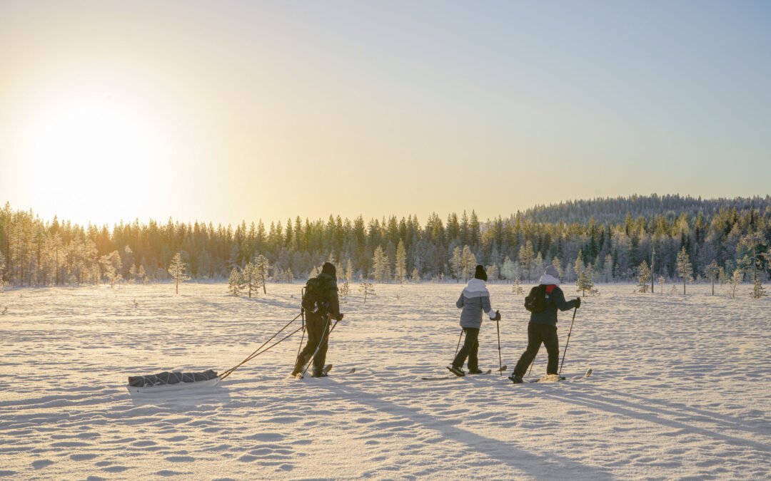 All Day Experience on Altai Skis