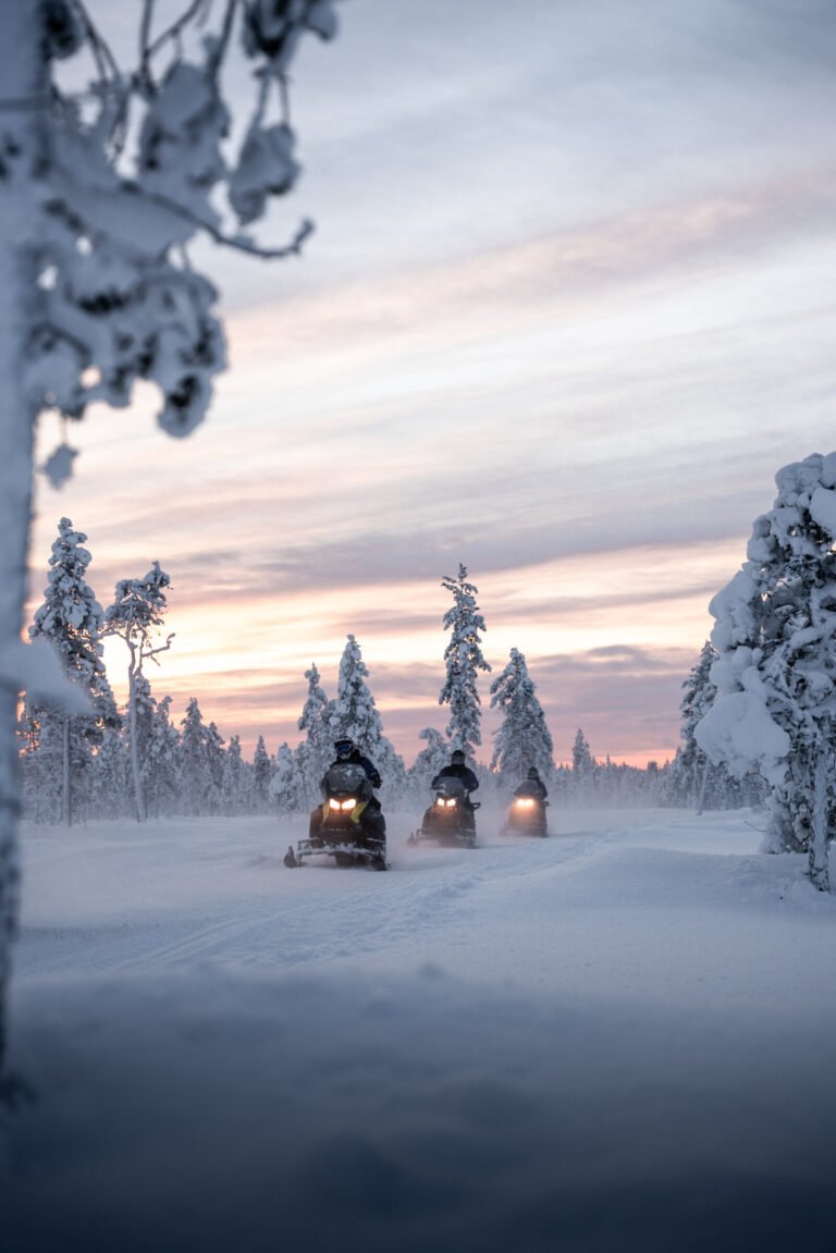Private – Snowmobile Adventure In Levi (2h) Snowmobile tour safari snow lapland winter forest sport