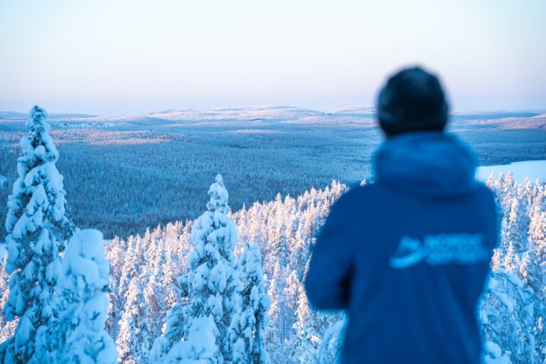 Winter Holiday in Rovaniemi
