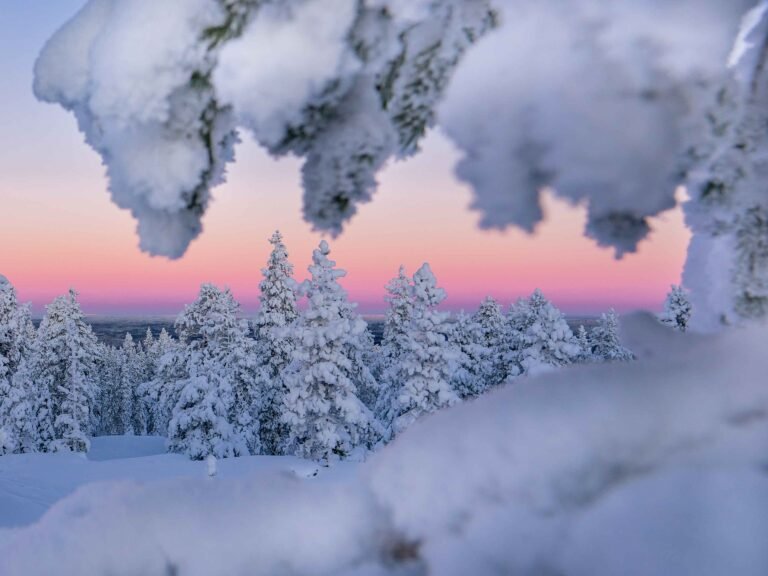 Winter week holiday package in rovaniemi