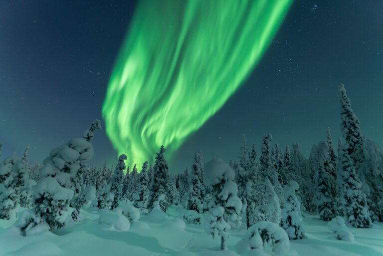 Winter week holiday package in rovaniemi lapland Winter week holiday package in rovaniemi lapland